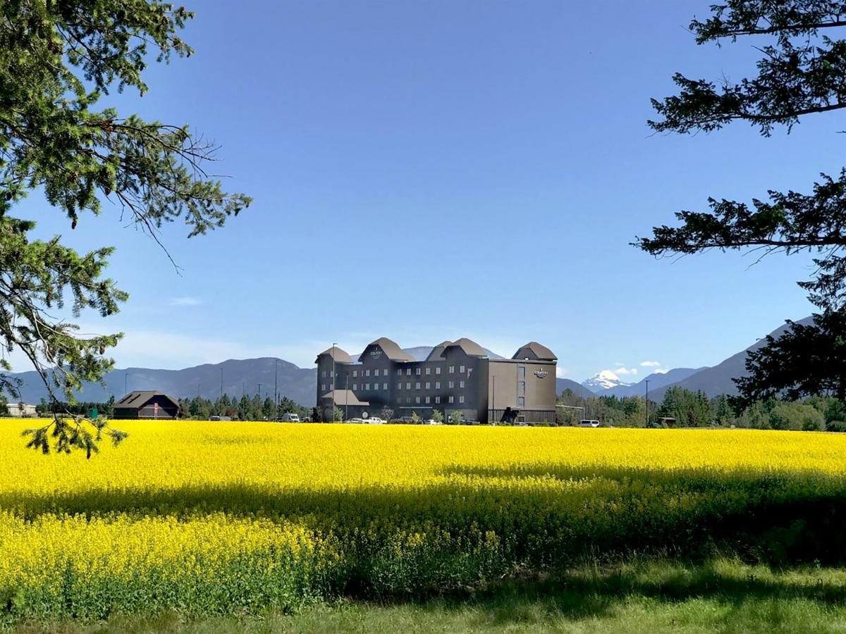 Glacier International Lodge カリスペル エクステリア 写真